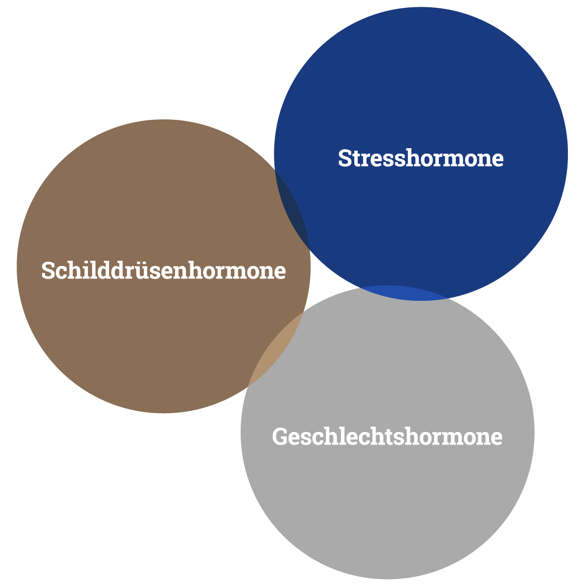 Hormonelles Netzwerk